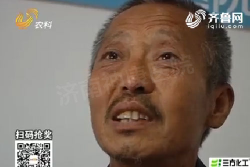 ���ƻ��С��������Ʊ����� ���Ӽ��澪ϲ��ӵ